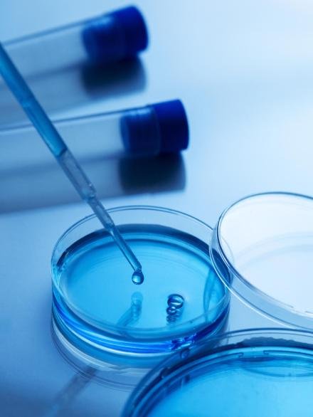 laboratory-samples-arrangement